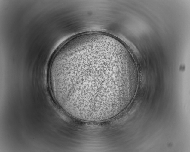 X0000102510886200808221815