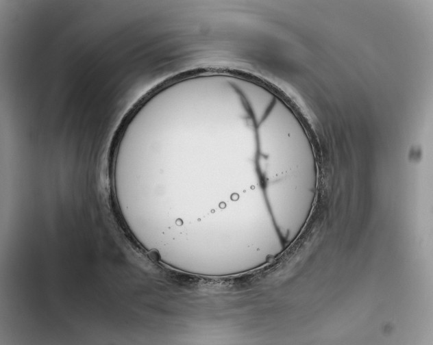 X0000102510887200808221815