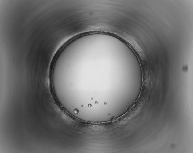 X0000102510888200808221815