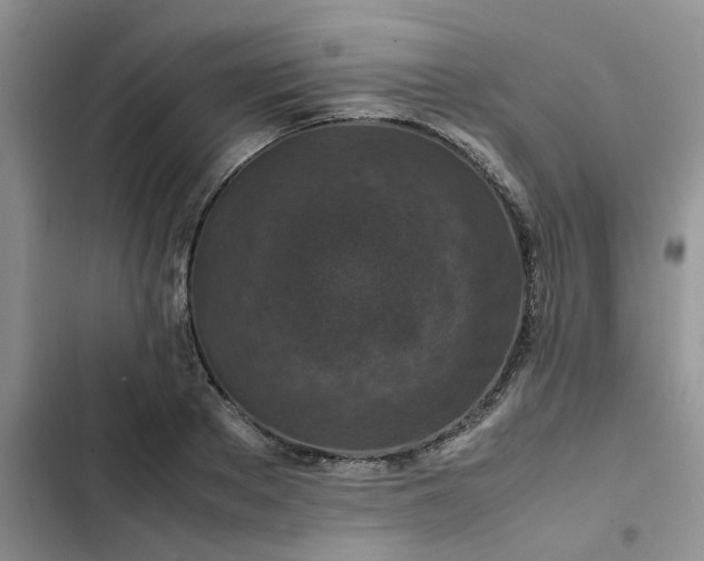 X0000102510889200808221815