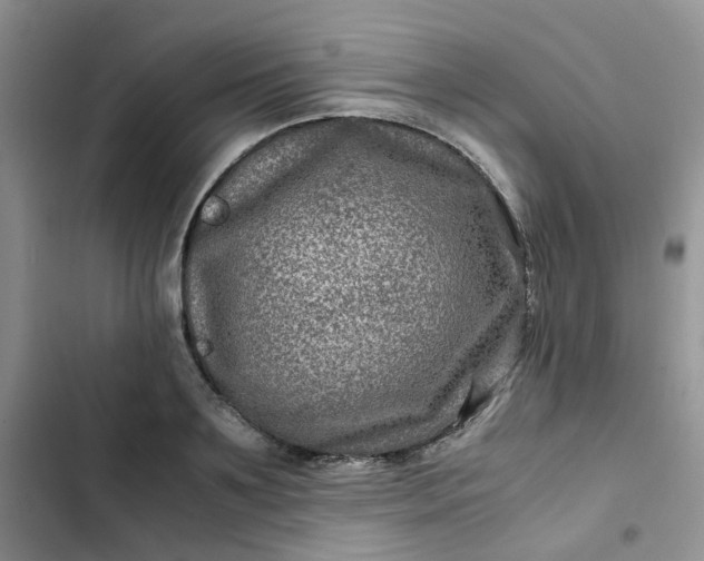 X0000102510891200808221815