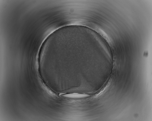 X0000102510892200808221815