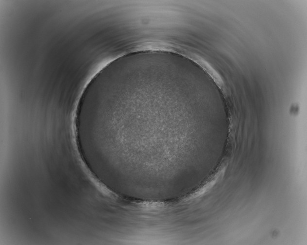 X0000102510893200808221815