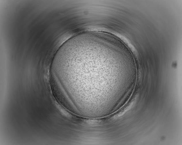 X0000102510897200808221815