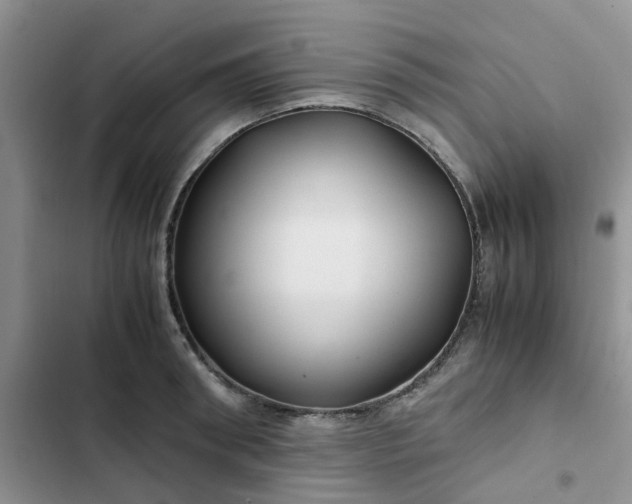 X0000102510898200808221815