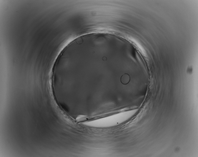 X0000102510899200808221815