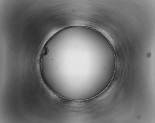 X0000102510901200808221815