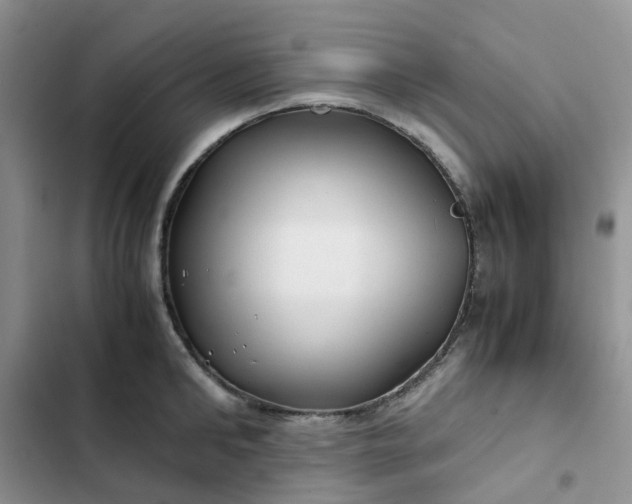 X0000102510902200808221815