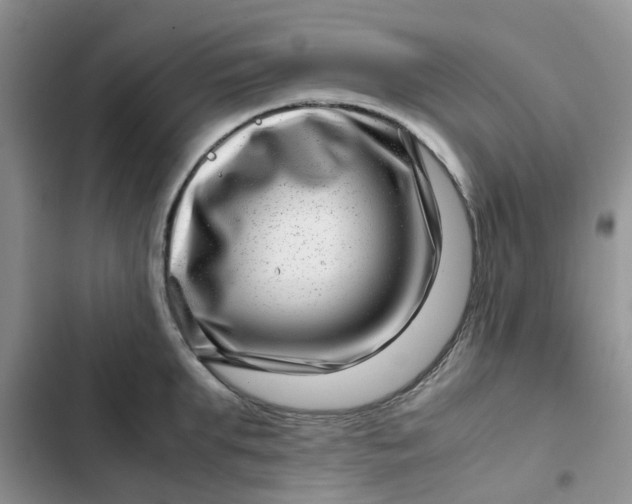 X0000102510903200808221815