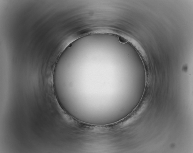 X0000102510905200808221815