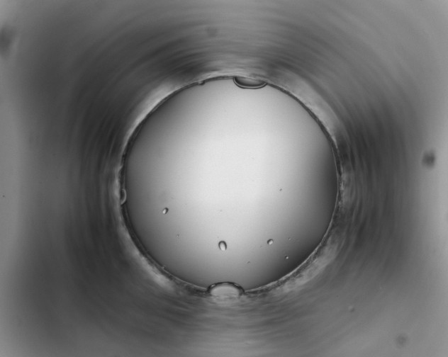 X0000102510906200808221815