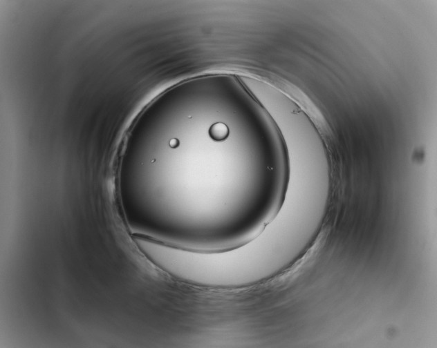 X0000102510908200808221815