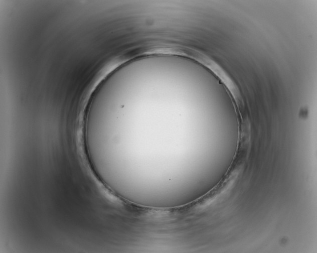 X0000102510909200808221815