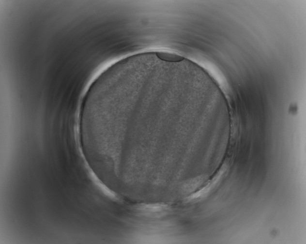 X0000102510910200808221815