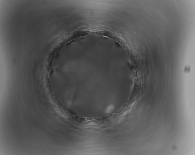 X0000102510913200808221814
