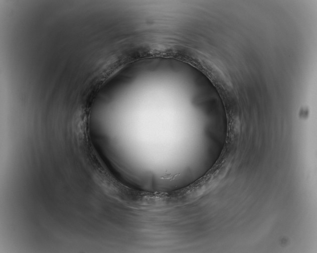 X0000102510914200808221814