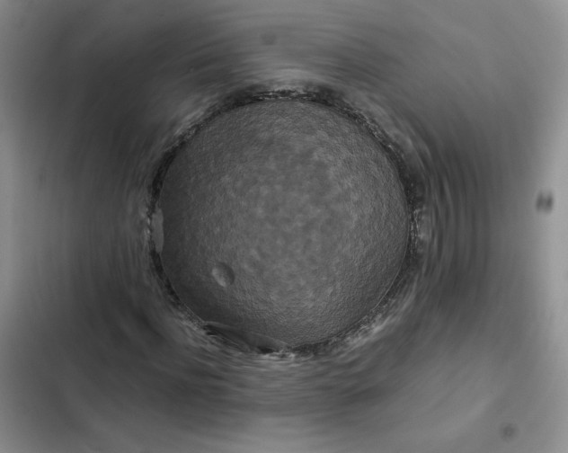X0000102510916200808221814