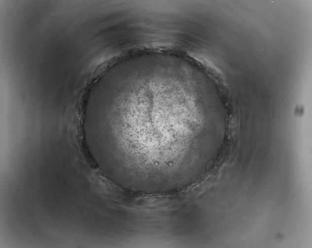 X0000102510917200808221814