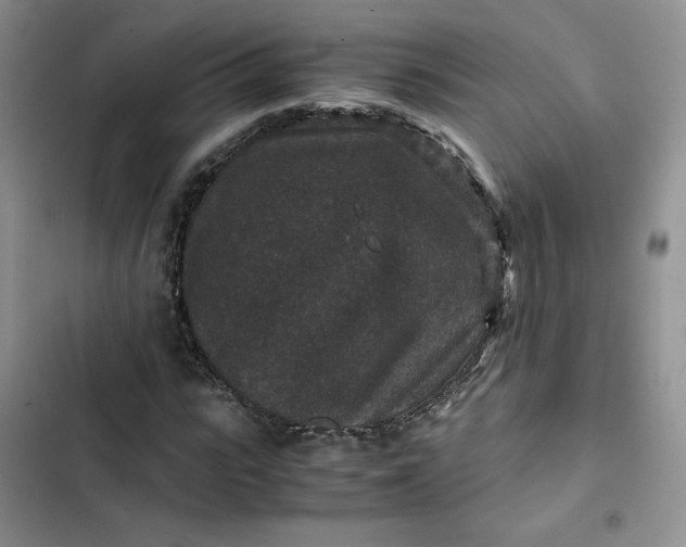 X0000102510919200808221814