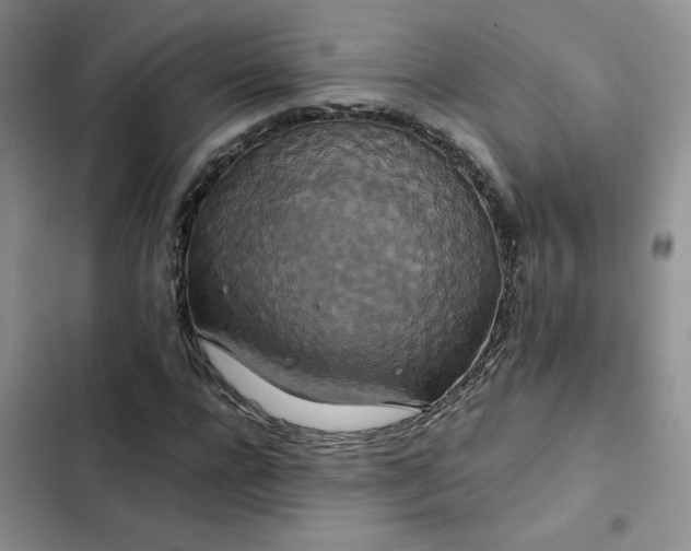 X0000102510920200808221814