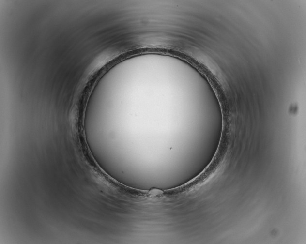X0000102510922200808221814