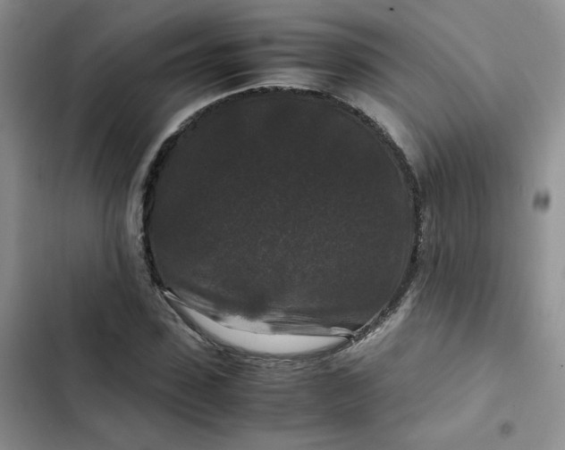 X0000102510923200808221814