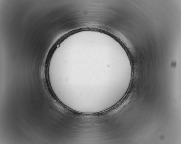 X0000102510924200808221814