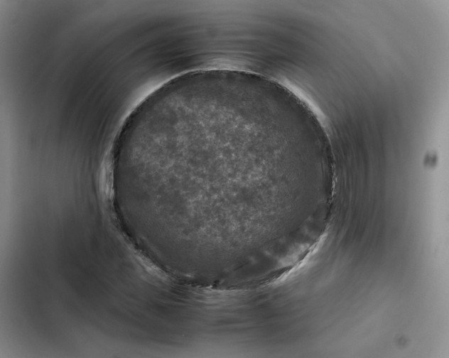 X0000102510925200808221814