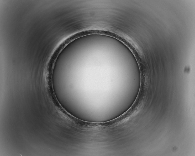 X0000102510926200808221814