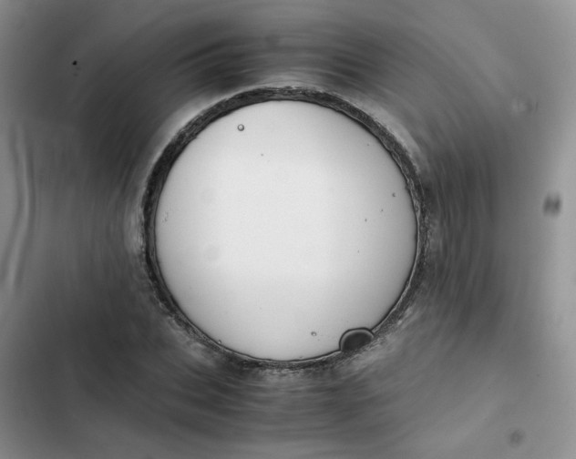 X0000102510927200808221814