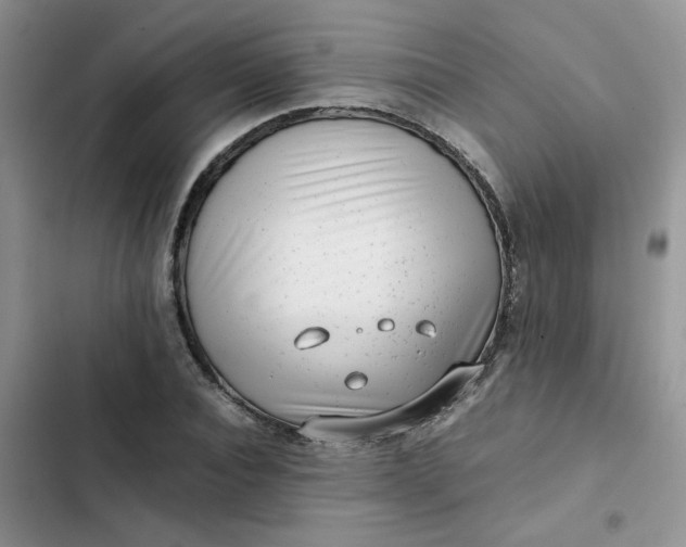 X0000102510928200808221814