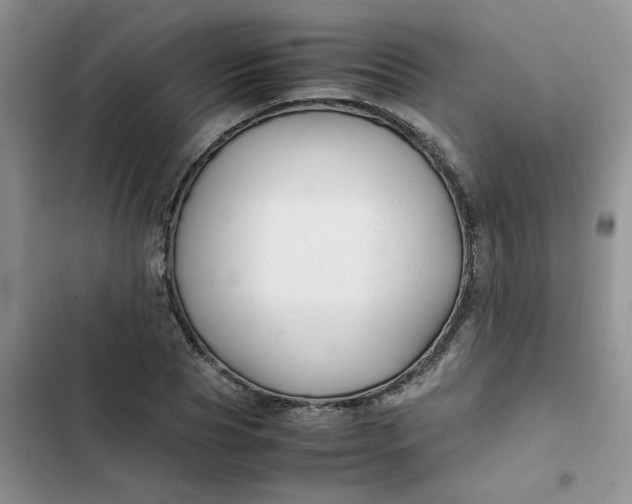 X0000102510929200808221814