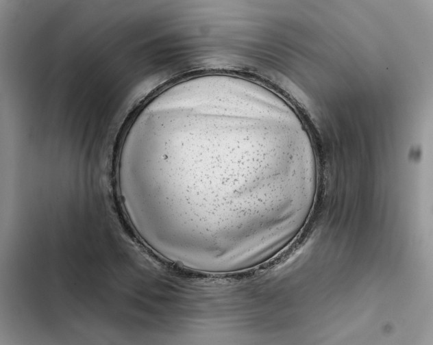 X0000102510930200808221814