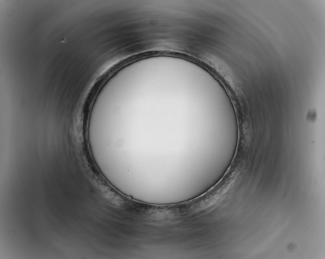 X0000102510931200808221814