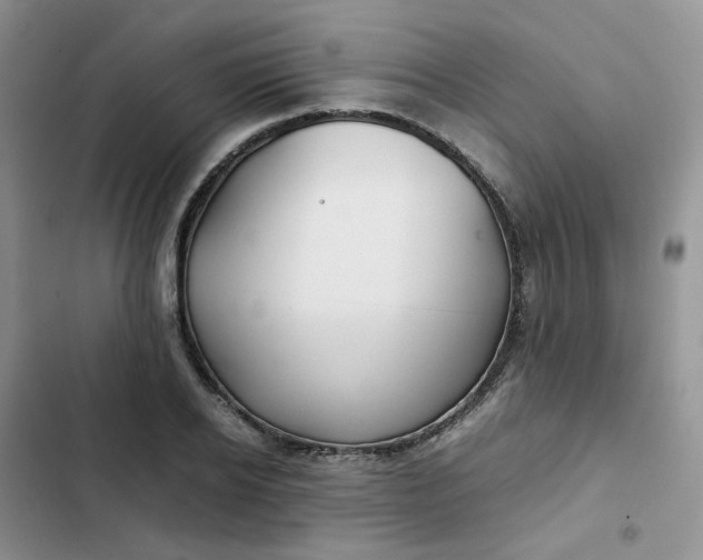 X0000102510934200808221814
