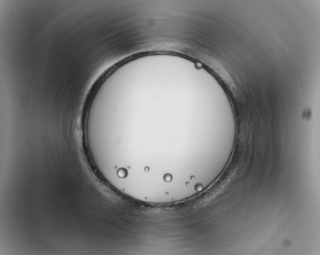 X0000102510936200808221814