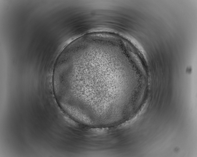 X0000102510937200808221814