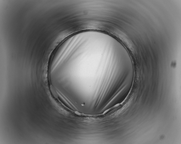 X0000102510938200808221814