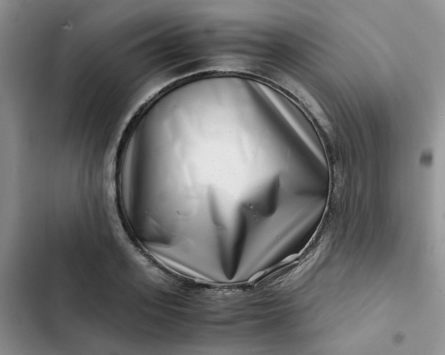 X0000102510939200808221814
