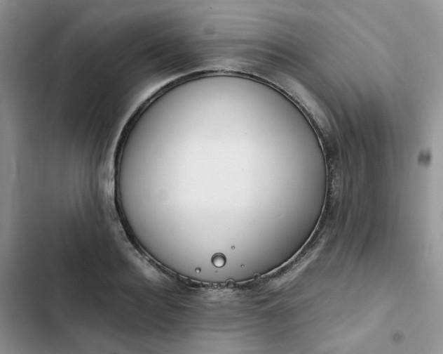 X0000102510940200808221814