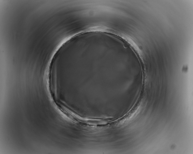 X0000102510941200808221814