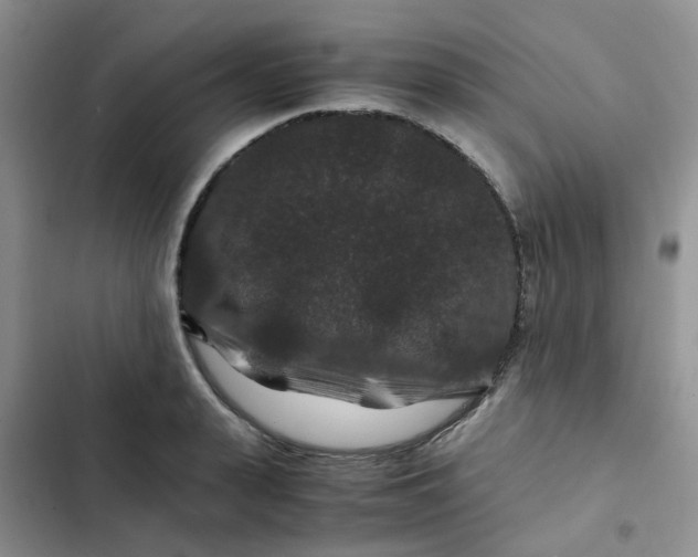 X0000102510943200808221814