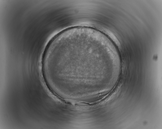 X0000102510944200808221814