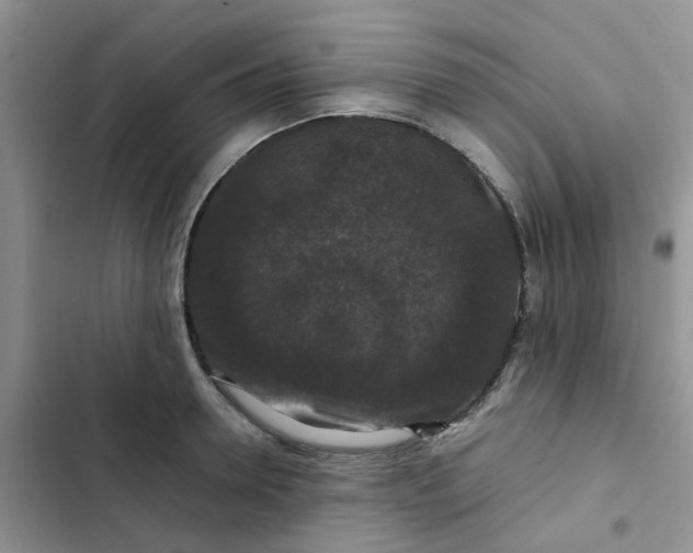 X0000102510946200808221814