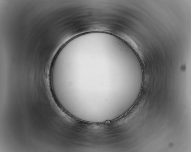 X0000102510947200808221814