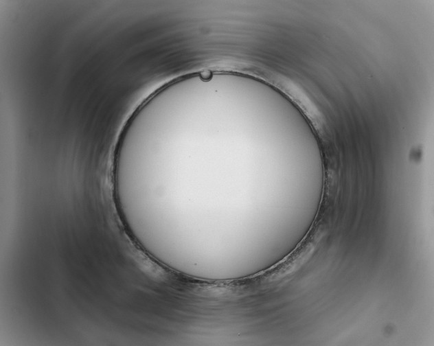 X0000102510948200808221814