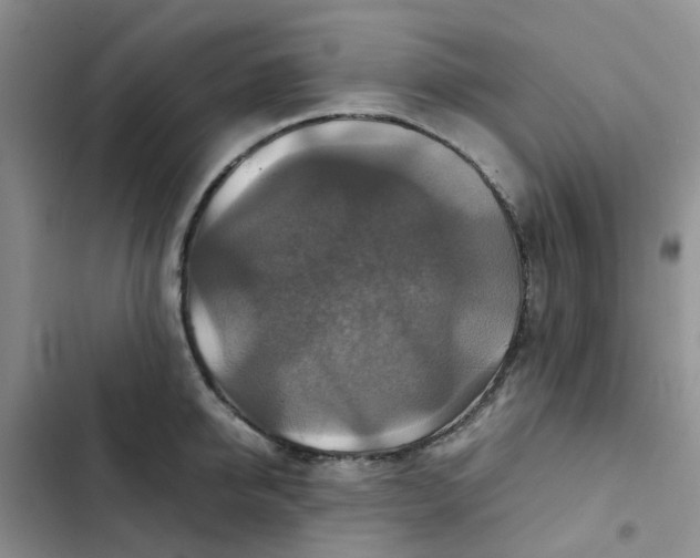 X0000102510950200808221814