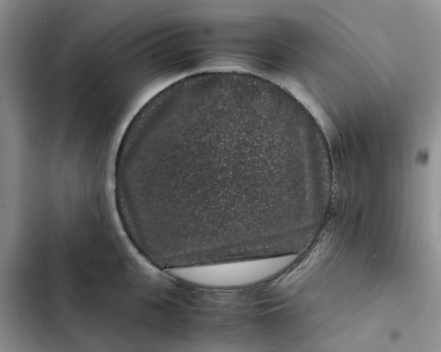 X0000102510951200808221814