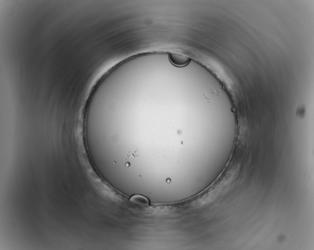 X0000102510952200808221814