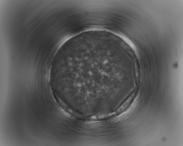 X0000102510953200808221814